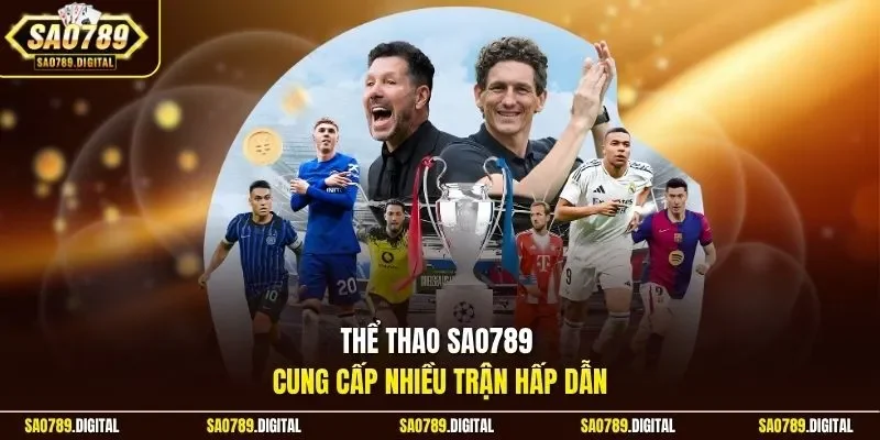 Thể thao cung cấp danh sách các môn thi đấu phổ biến